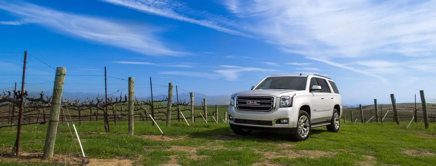GMC Yukon SUV at a Texas Hill Country vineyard on a Cynthia's Limo wine tour